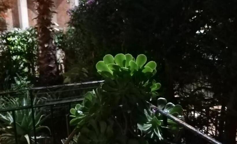 ペンション B&b Aquila