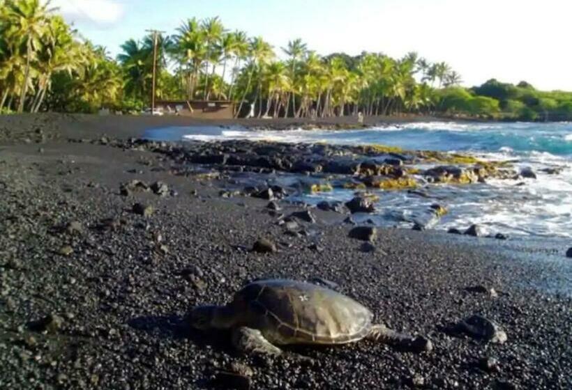 بنسيون Beach Road Hale