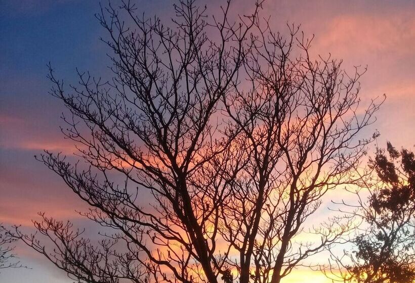 بنسيون Bungalow Doble Con Vista Parcial Al Mar, Cocina Completa