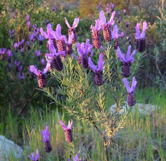펜션 Casa Bi Rosario   Quinta Amoreira