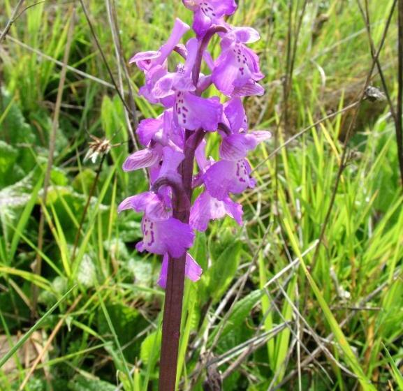 펜션 Casa Bi Rosario   Quinta Amoreira