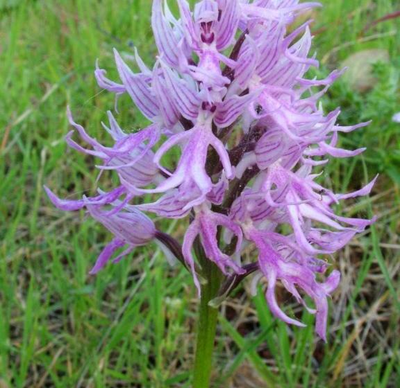 펜션 Casa Bi Rosario   Quinta Amoreira