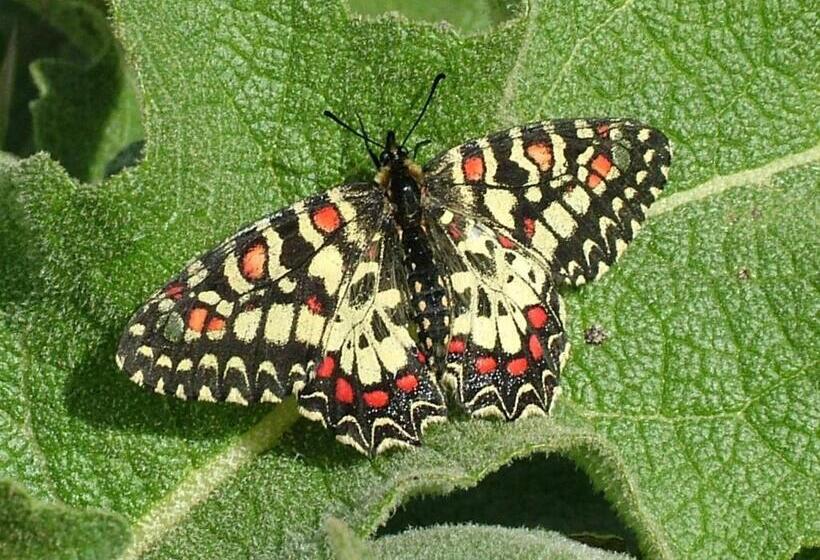 펜션 Casa Bi Rosario   Quinta Amoreira