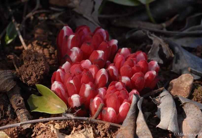 펜션 Casa Bi Rosario   Quinta Amoreira