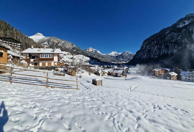 פנסיון Cèsa Cherpei   Dog Friendly