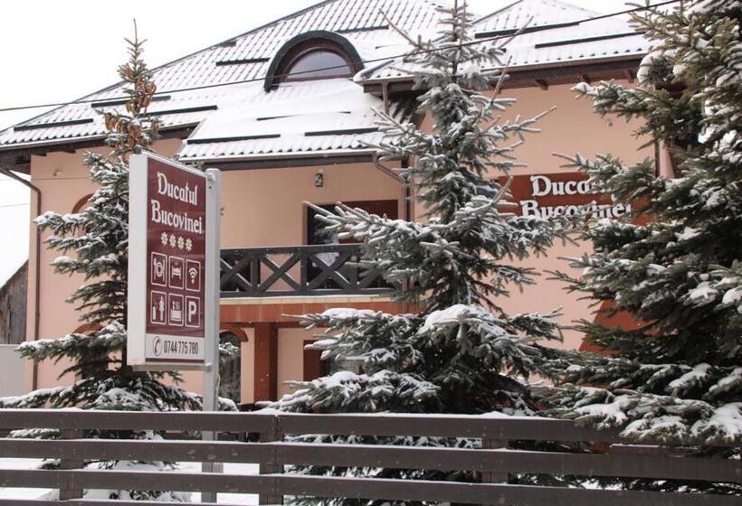 بنسيون Ducatul Bucovinei