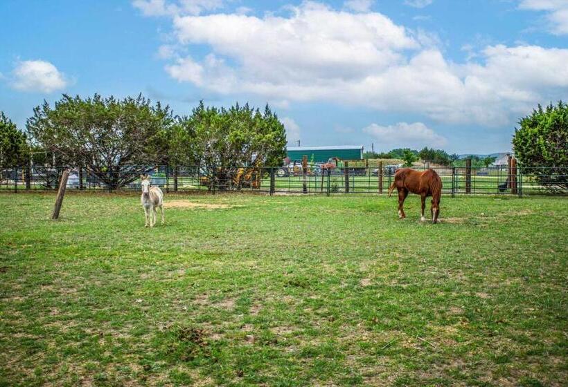 ペンション Rrr Cabin On The Medina