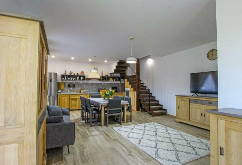 Пансион Runcan Rai