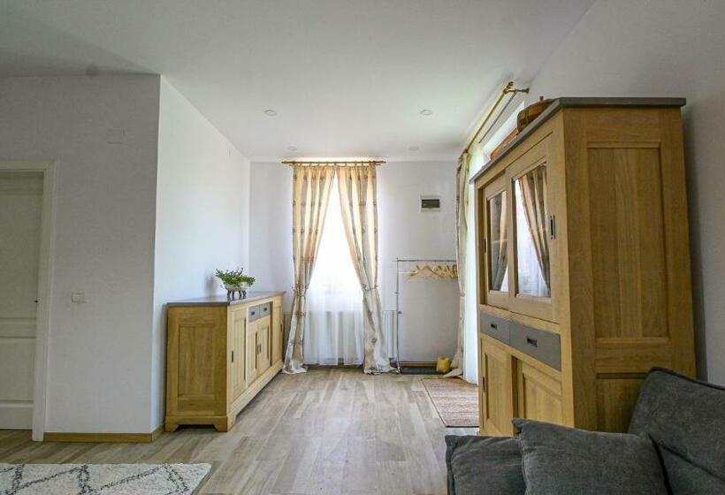 Пансион Runcan Rai