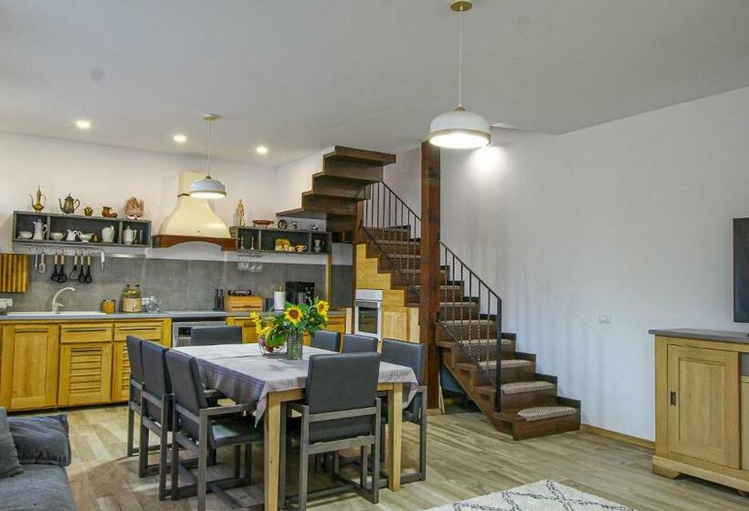 Пансион Runcan Rai