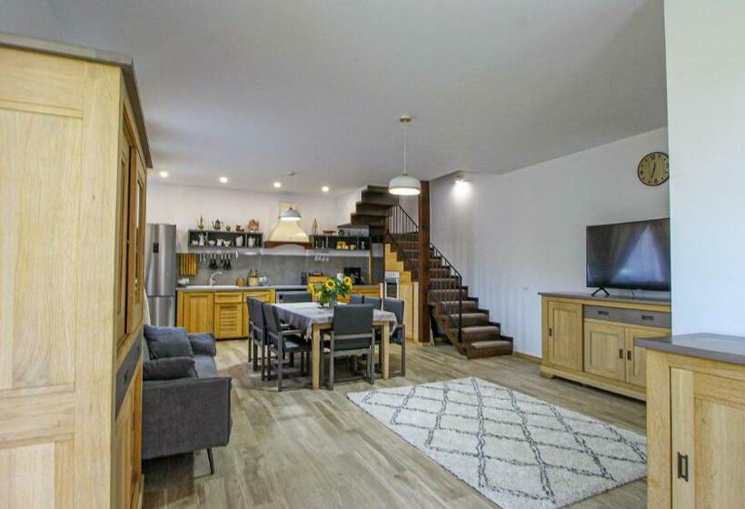 Пансион Runcan Rai