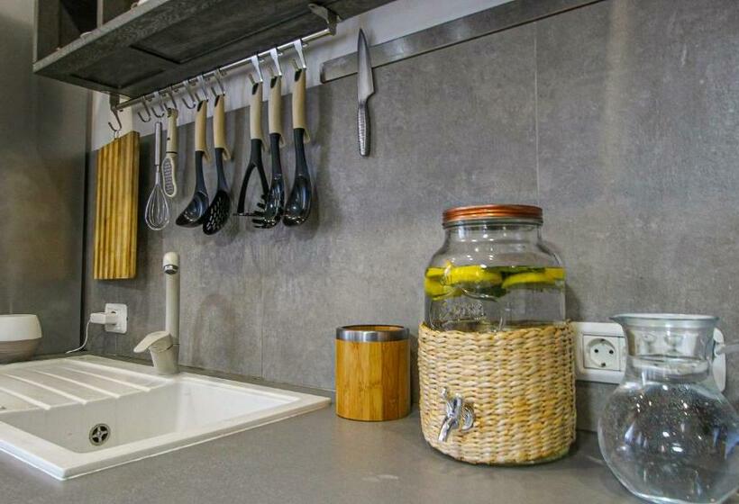 Пансион Runcan Rai