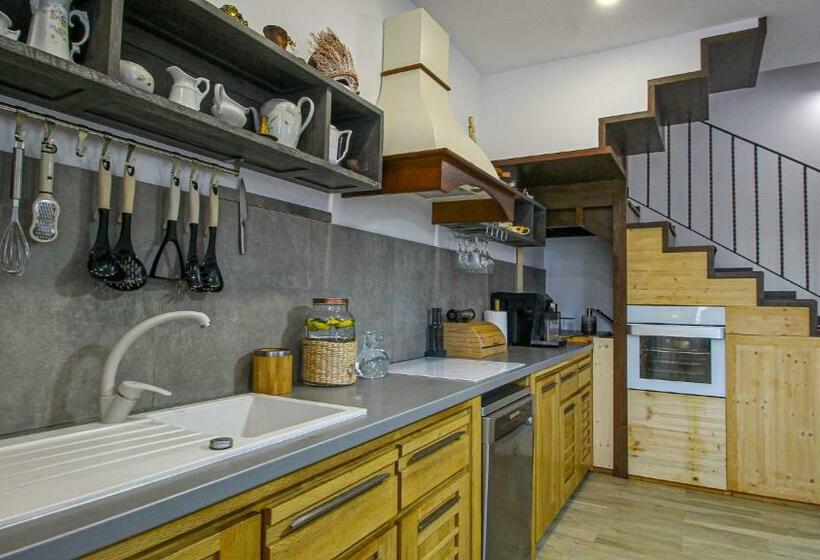 Пансион Runcan Rai