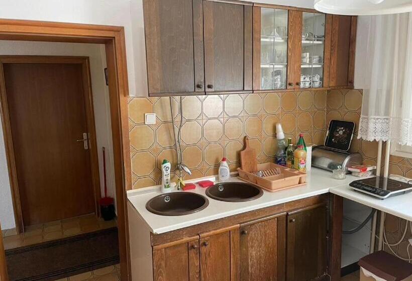 پانسیون Vidikovac Vrnjačka Banja