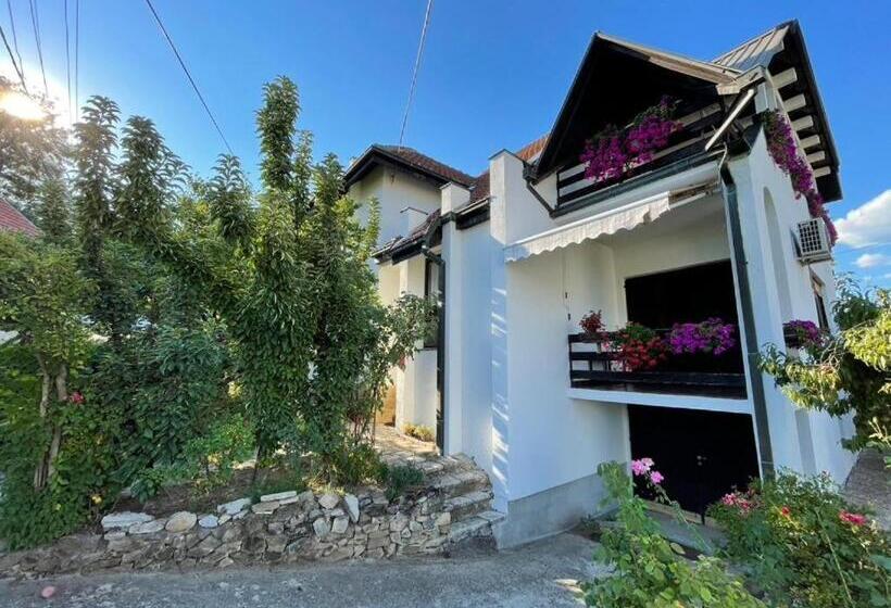 پانسیون Vidikovac Vrnjačka Banja