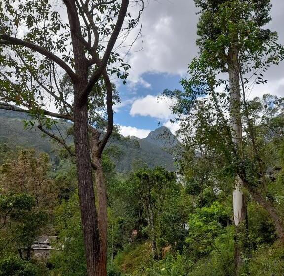 膳宿费 Water Side Guest