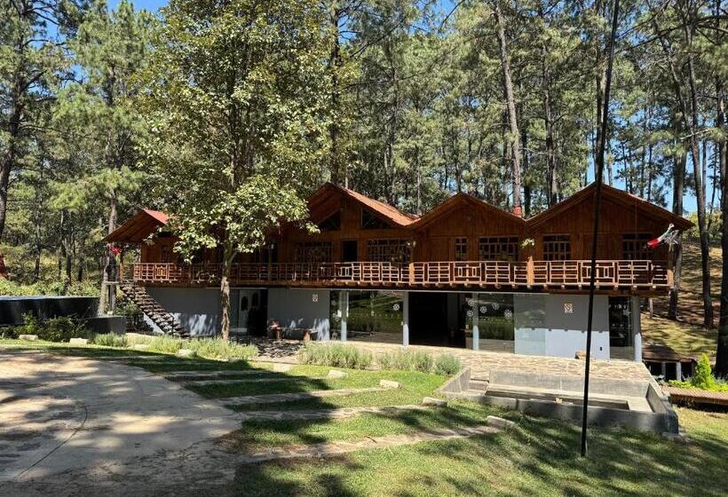 Pine Tree Mazamitla Hotel Boutique & Cabañas