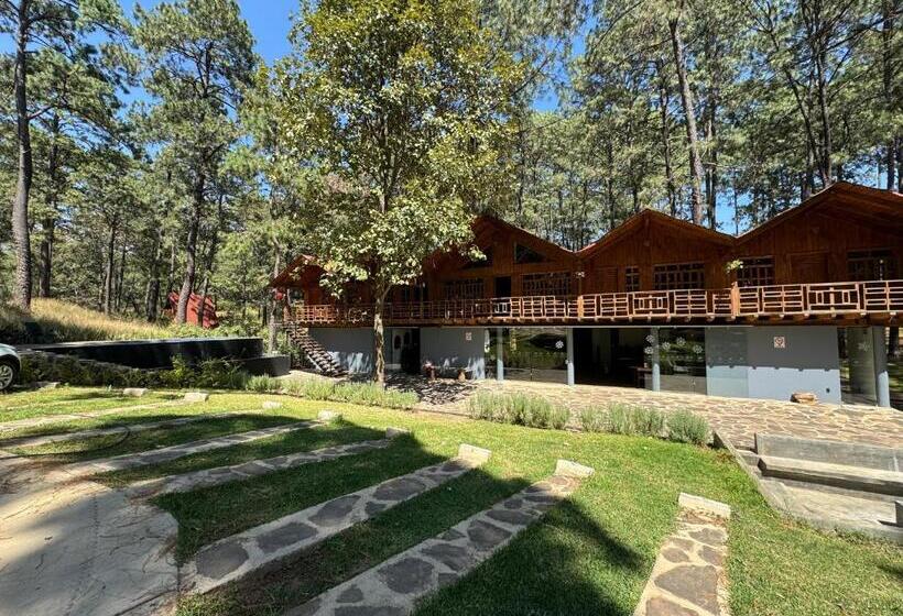 Pine Tree Mazamitla Hotel Boutique & Cabañas
