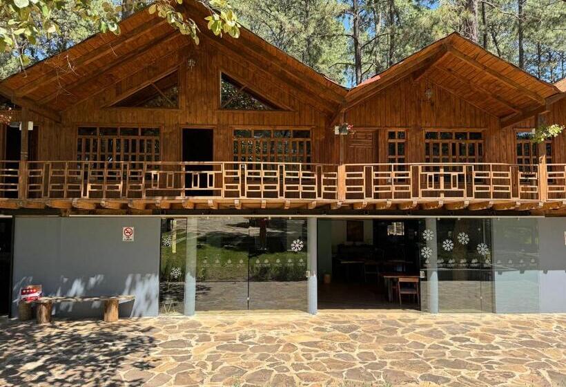 Pine Tree Mazamitla Hotel Boutique & Cabañas