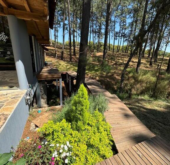 Pine Tree Mazamitla Hotel Boutique & Cabañas