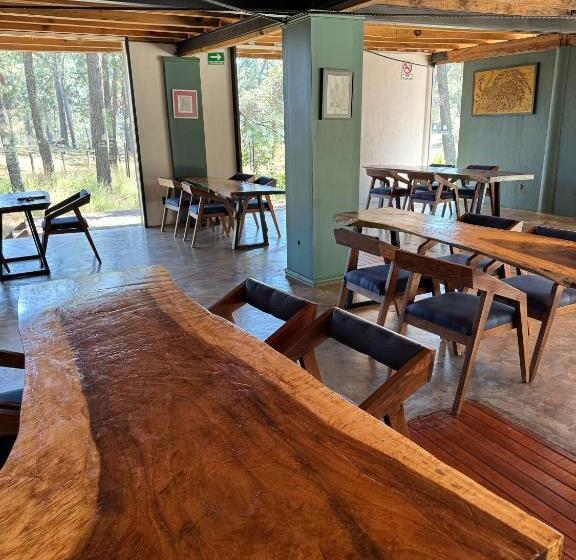 Pine Tree Mazamitla Hotel Boutique & Cabañas