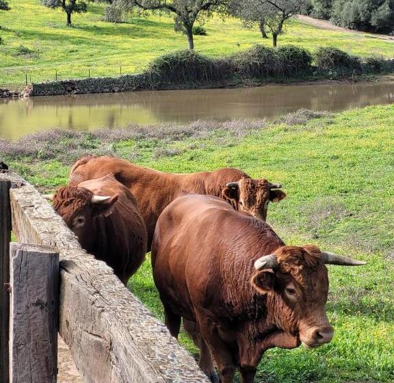 منتجع Alojamiento Rural Finca Barral