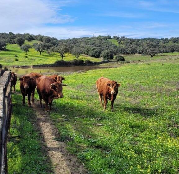 منتجع Alojamiento Rural Finca Barral