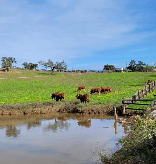 אתר נופש Alojamiento Rural Finca Barral