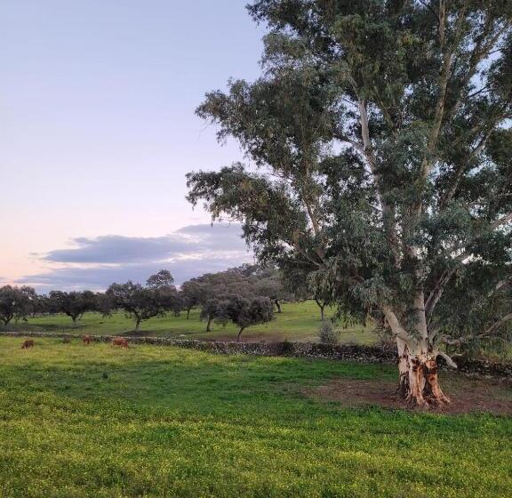 منتجع Alojamiento Rural Finca Barral