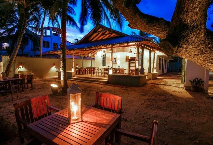 리조트 Ocean Gateway Dickwella