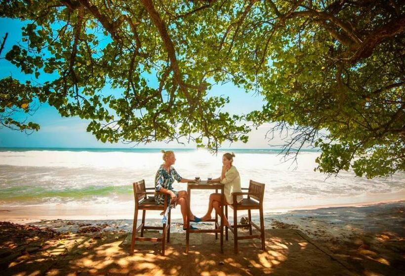 渡假胜地  Ocean Gateway Dickwella