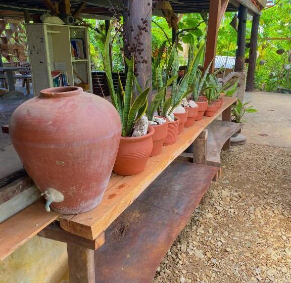 Hostel Cafe Sabang Guest House