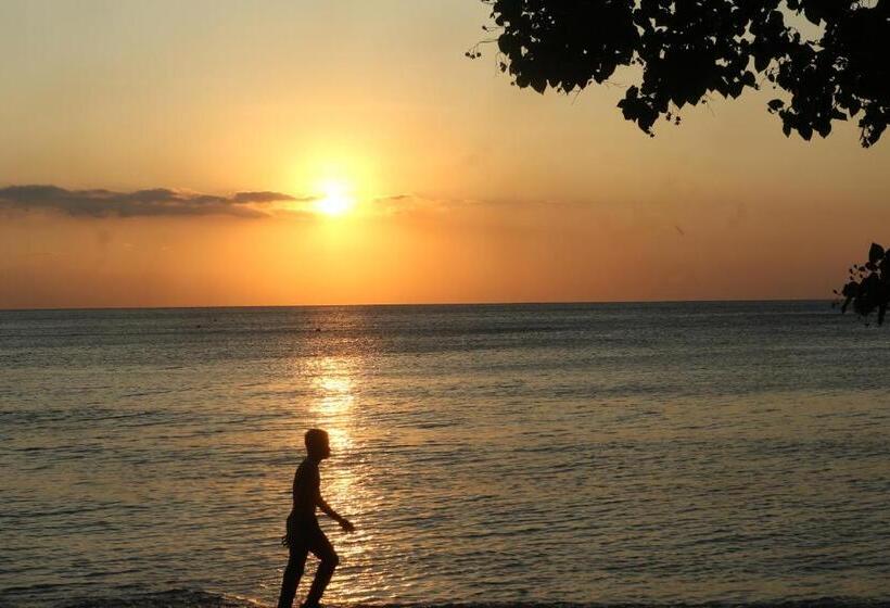 فندق صغير Lala Salama Backpacker