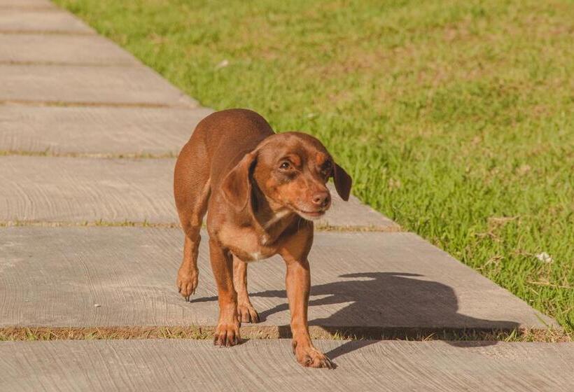 旅馆 Pousada Corália