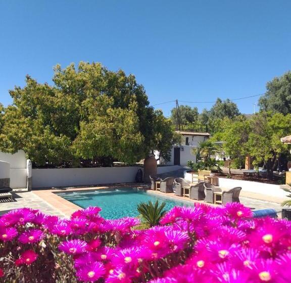 مبيت وإفطار El Violin Experiencia Adults Only