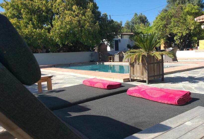 مبيت وإفطار El Violin Experiencia Adults Only