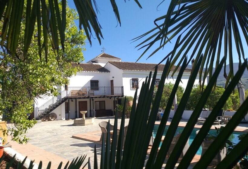 مبيت وإفطار El Violin Experiencia Adults Only