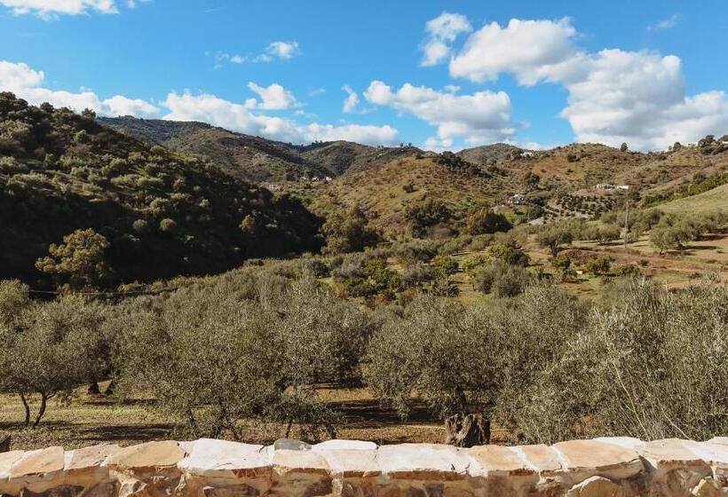 住宿加早餐  Finca Elements