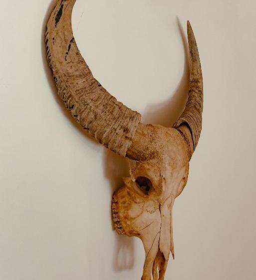 住宿加早餐  Finca Elements