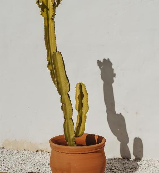 住宿加早餐  Finca Elements