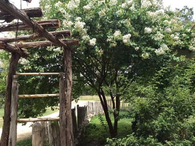 Bed and Breakfast Last Outpost Sophie S Cottage