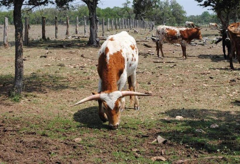 민박 Last Outpost Bandera Ranch House