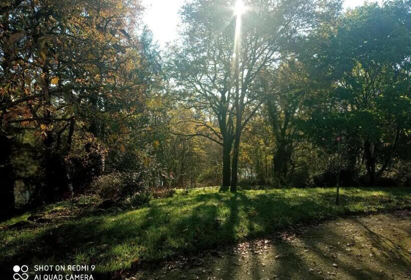 Bed and Breakfast Les Trois Geais