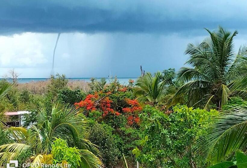 住宿加早餐 Mary & Matt Lodge