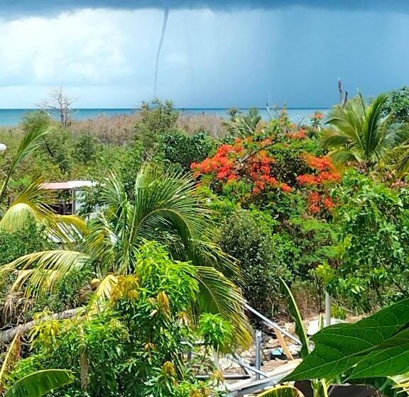 تختخواب و صبحانه Mary & Matt Lodge