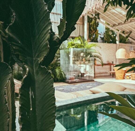 تختخواب و صبحانه Pousada Villa Cacau