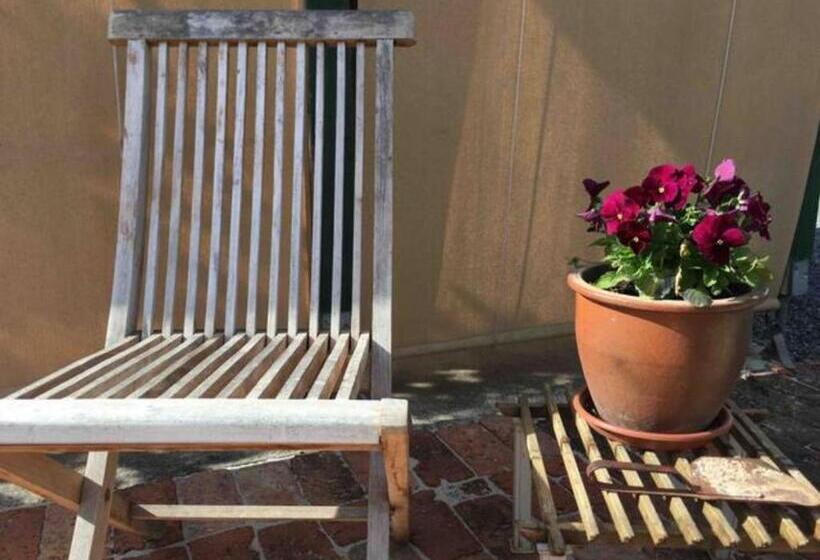 ベッドアンドブレックファースト Randell Cottage Adelaide Hills Cosy Rustic Hideaway