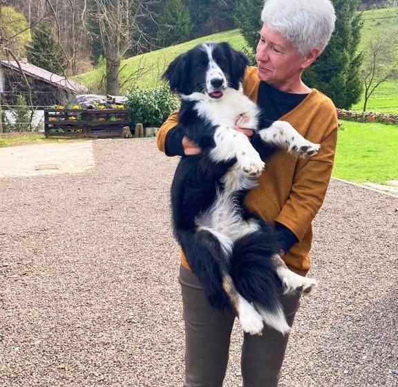 צימר Zaczarowalim   Dom W Górach Sowich