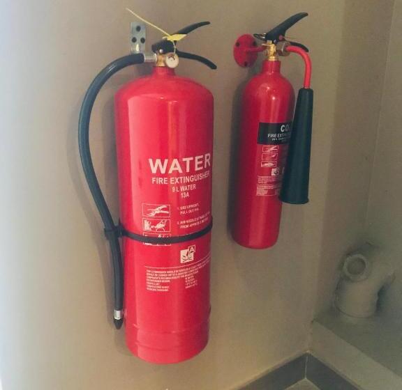 Cinnamon Tan Boutique