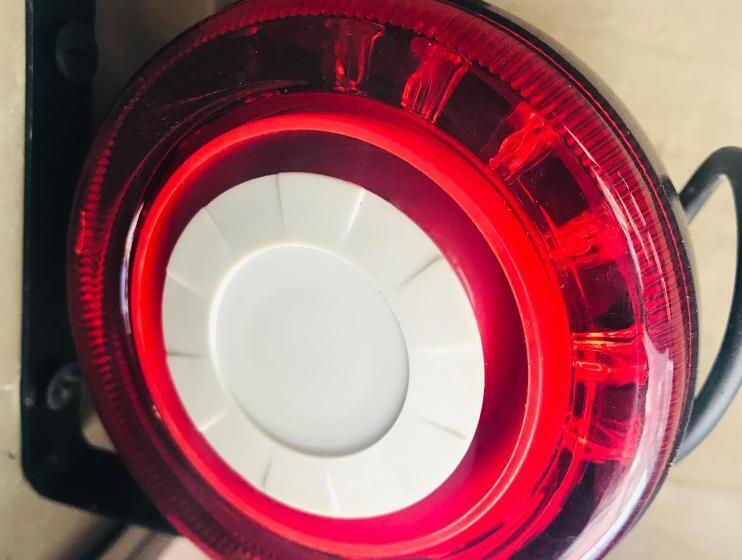 Cinnamon Tan Boutique